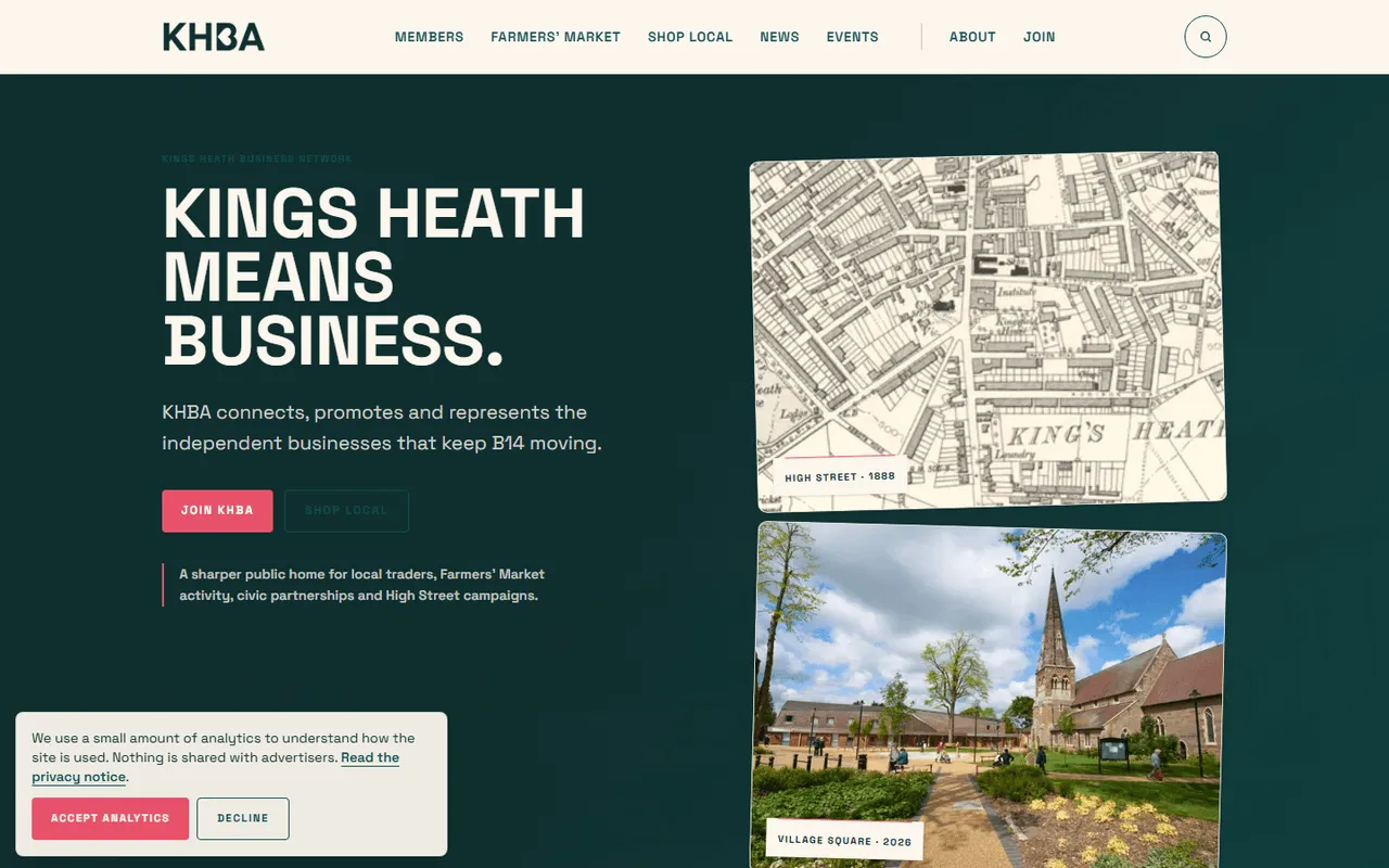 Professional service website project preview